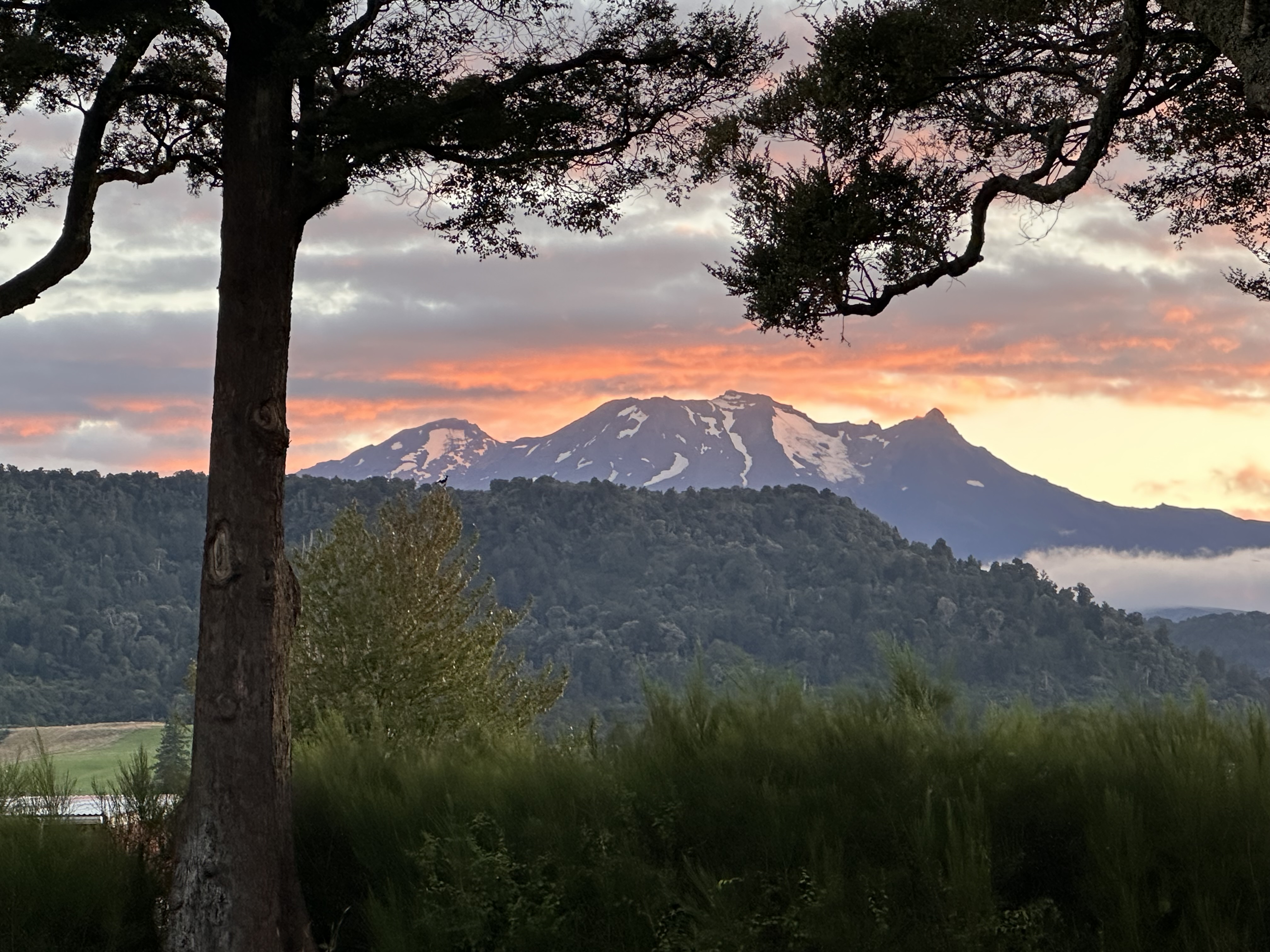 Mt Ruapehu, The view from the guest deck at Two Rivers Ohakune